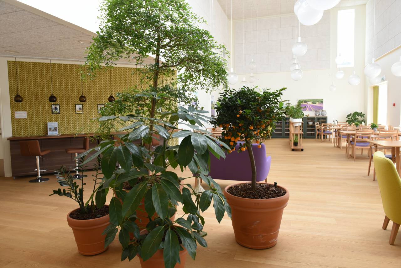 Opholdsstue hos Huset Nyvang