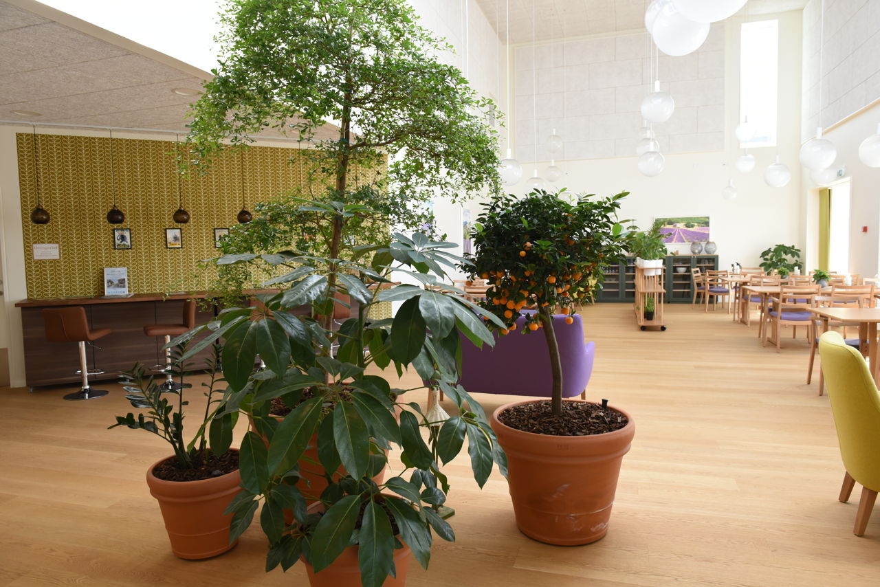 Opholdsstue hos Huset Nyvang