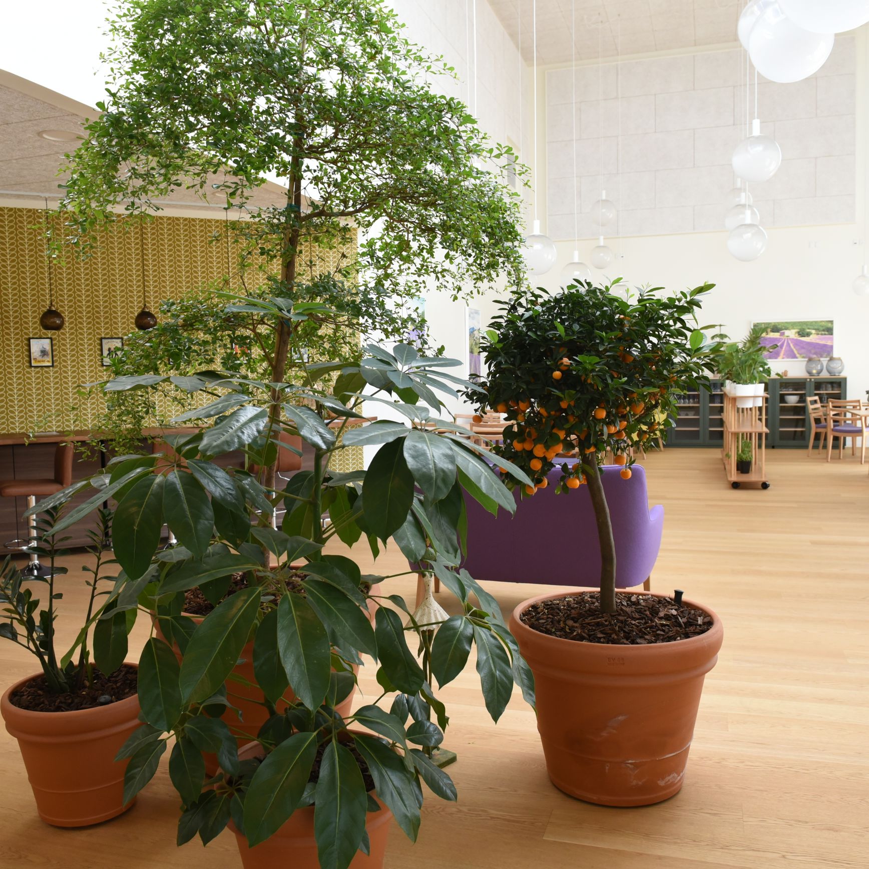 Opholdsstue hos Huset Nyvang